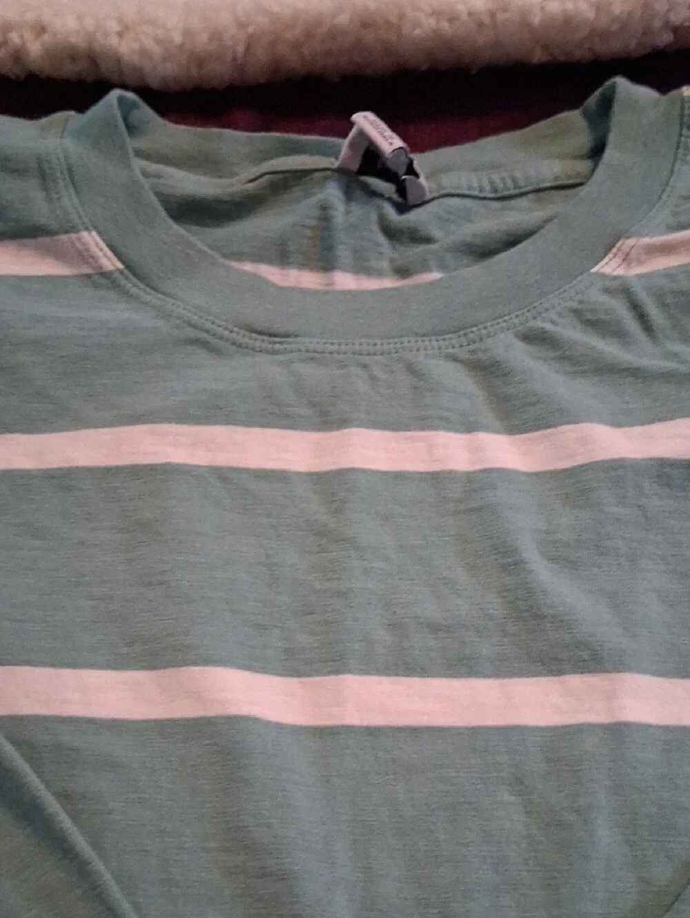 J. Crew Mint Green & White Striped Long-Sleeve Crewneck